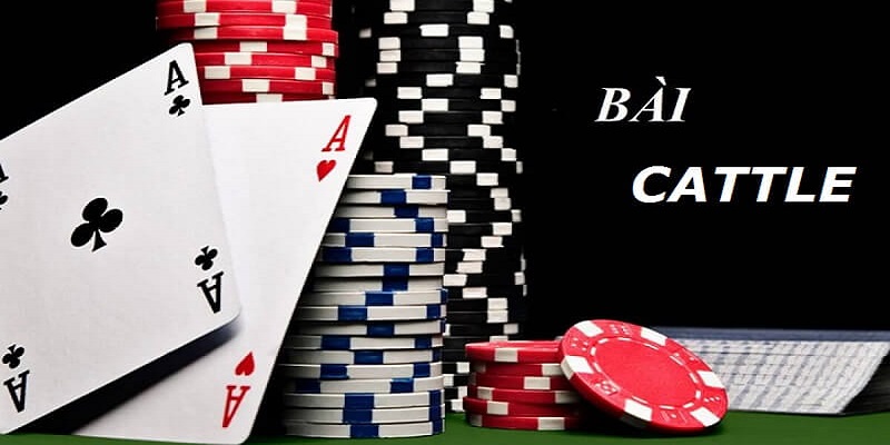 Hướng dẫn cách nhớ bài Catte chuẩn, chính xác nhất 5 3 4 1